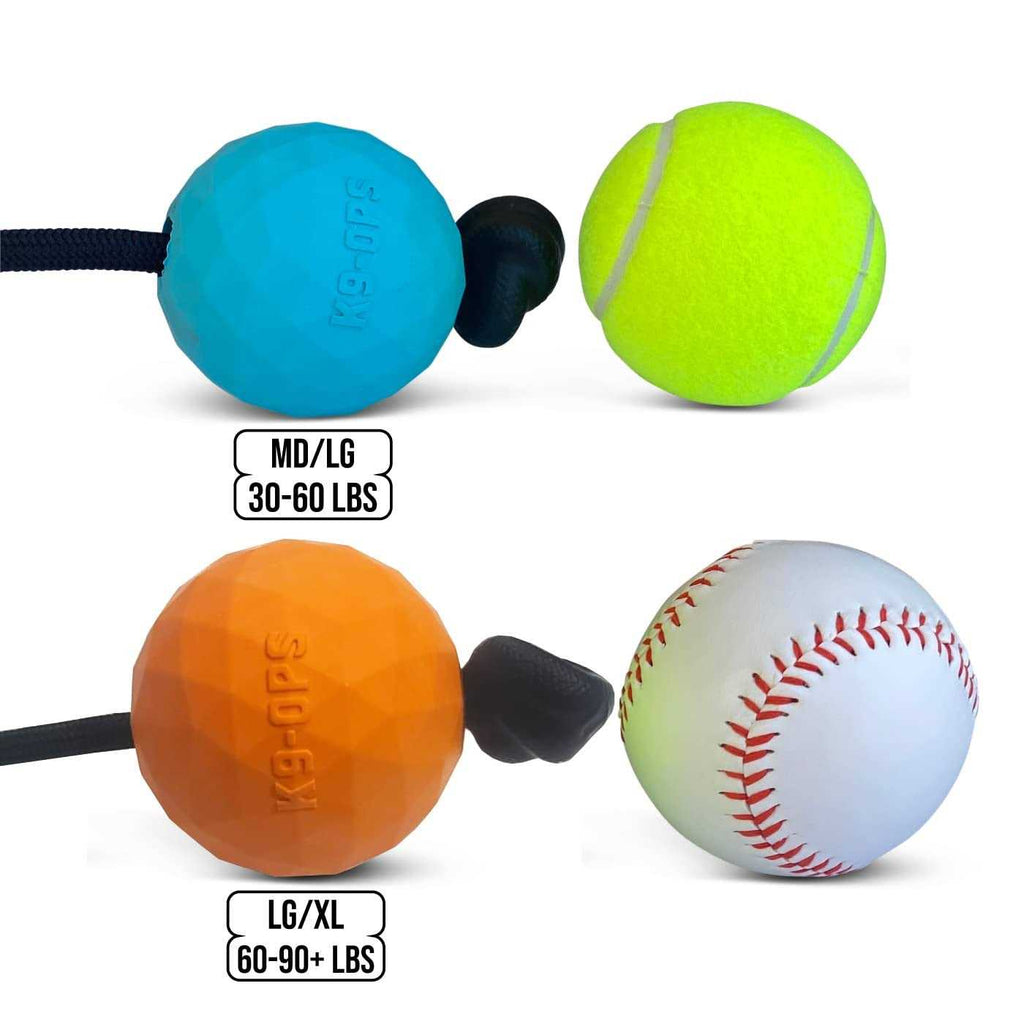 Solid Rubber Dog Ball on a Rope Tug Toy G9731