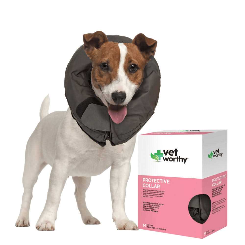 Inflatable Protective Dog Collar K45084