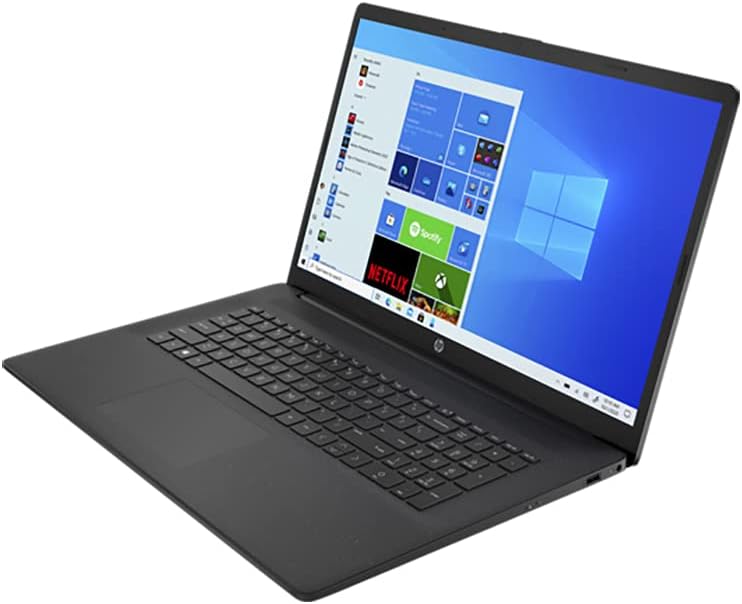 AMD Athlon Gold 3150U 16GB RAM 128GB PCIe SSD + 1TB HDD 17.3 HD+ Laptop N29010