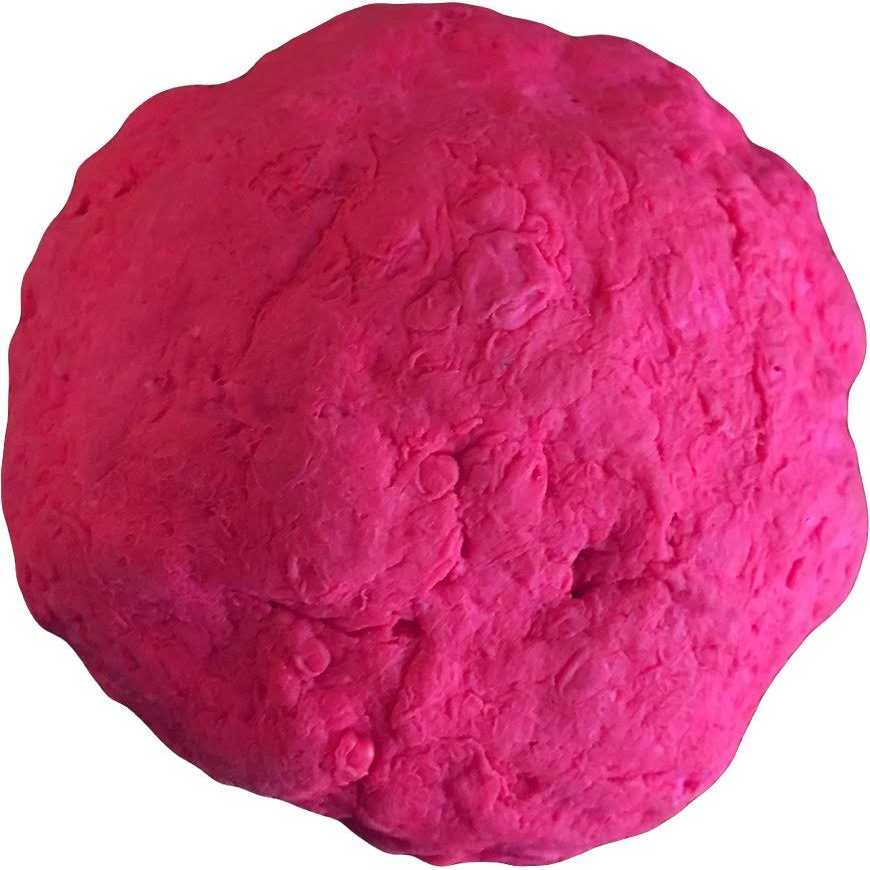 Fetch Dog Toy S558