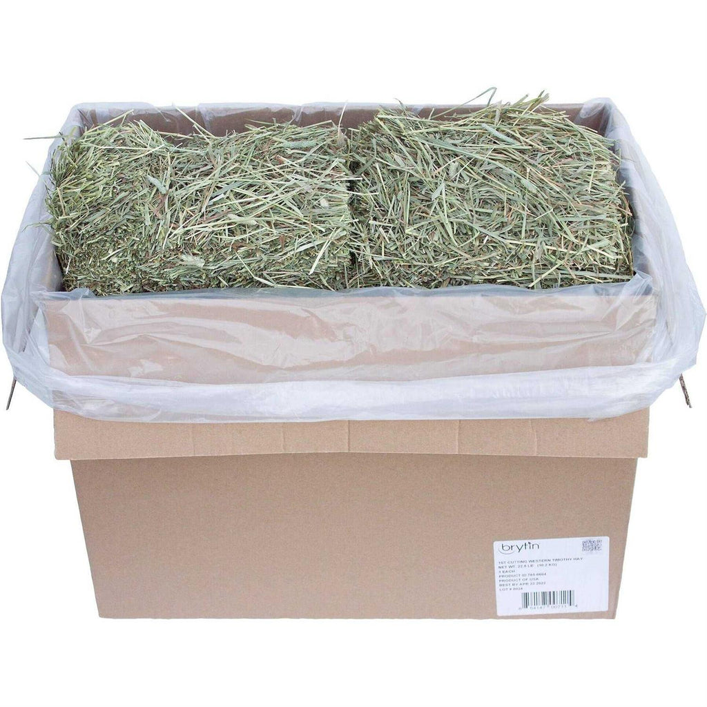 All-Natural Western Timothy Hay Chinchilla Food W339