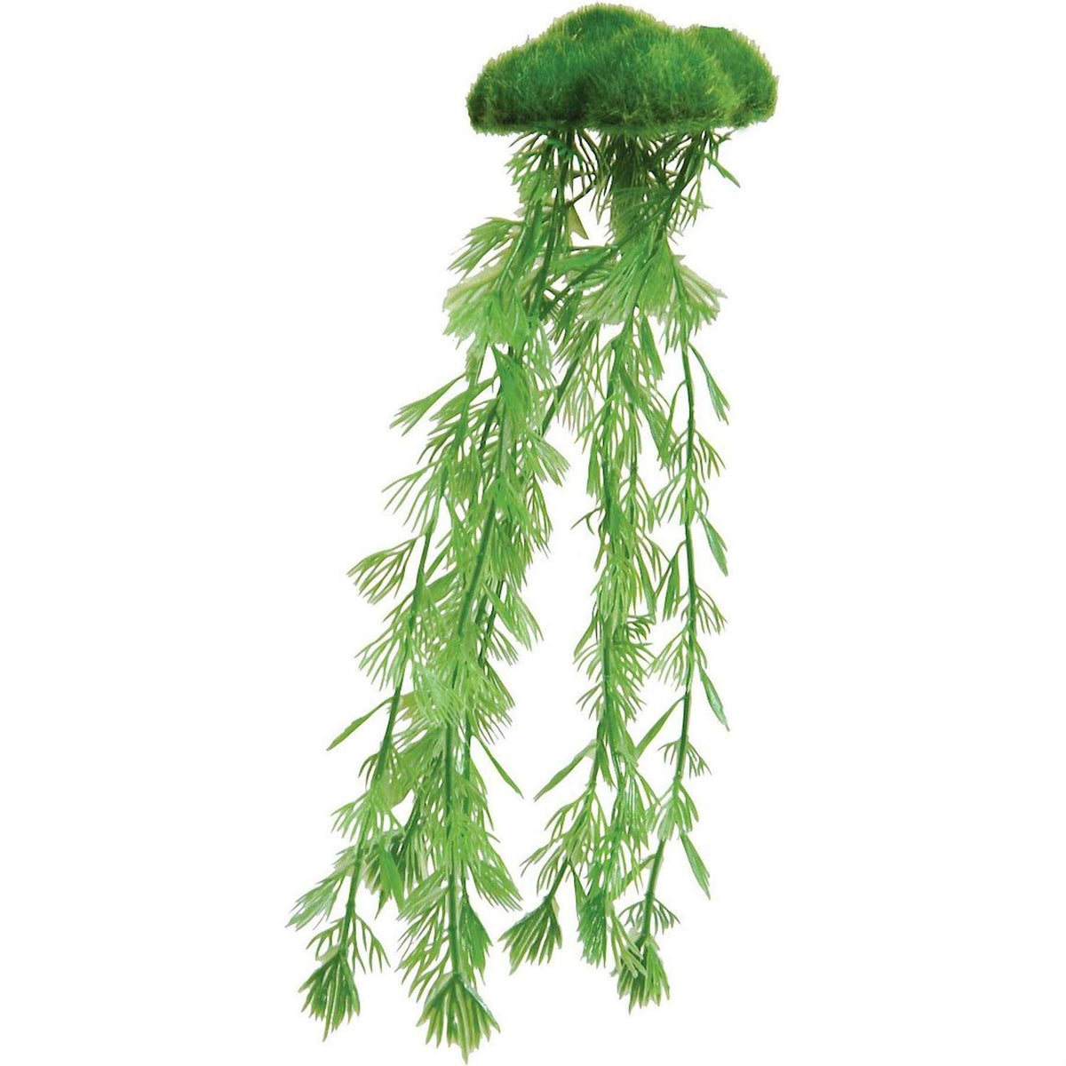 Floating Moss with Roots L825652