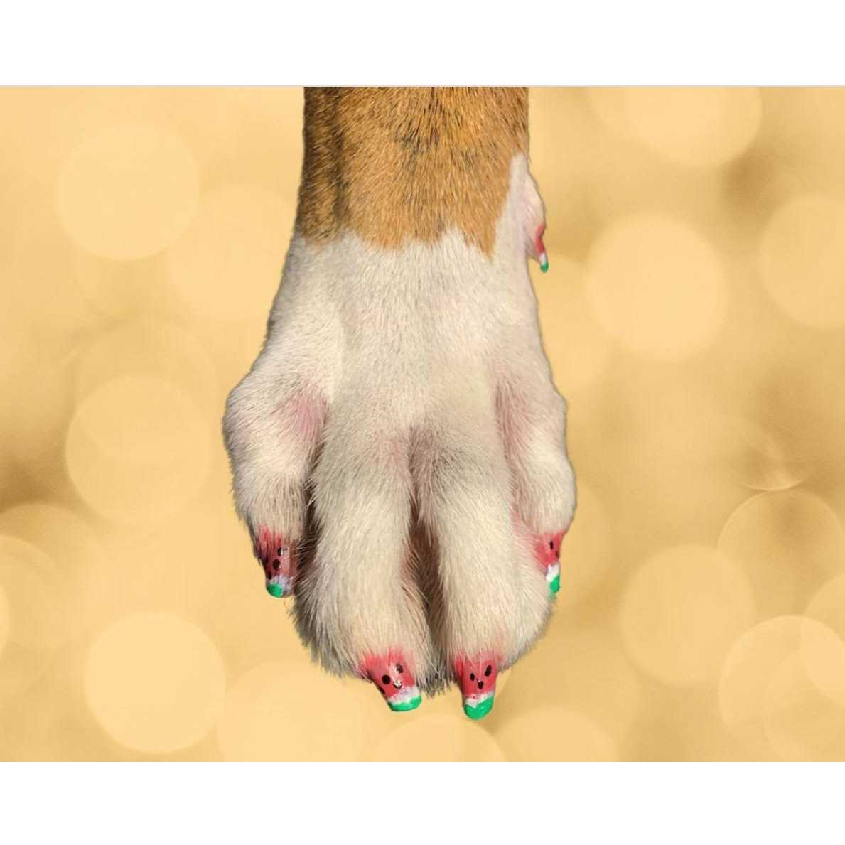 Dog Nail Polish Pen L5389