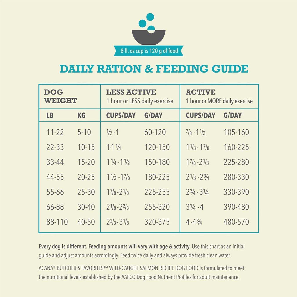 Wild-Caught Salmon Dry Dog Food P12767