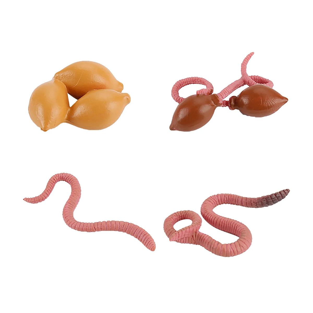 4 Piece Insect Animal Life Cycle Plastic Figures U35817