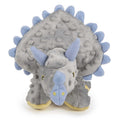 Dog Toy R415308