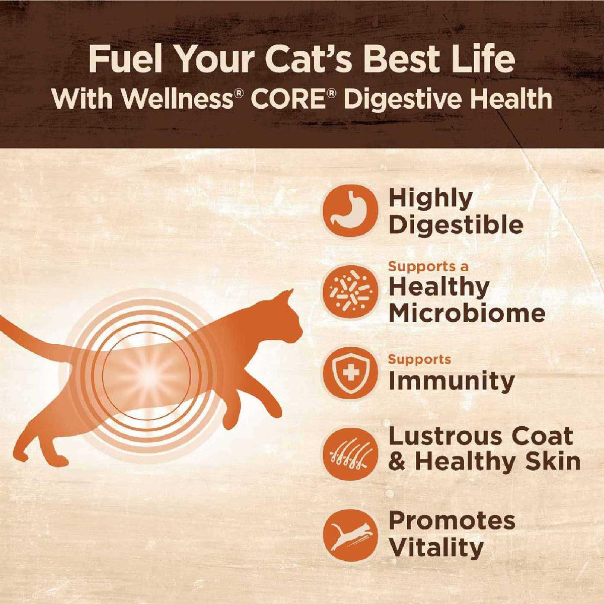 Salmon & Whitefish Pate Variety Pack Wet Cat Food S6345