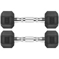 Rubber Coated Cast Iron Hex Dumbbell Free Weights T855