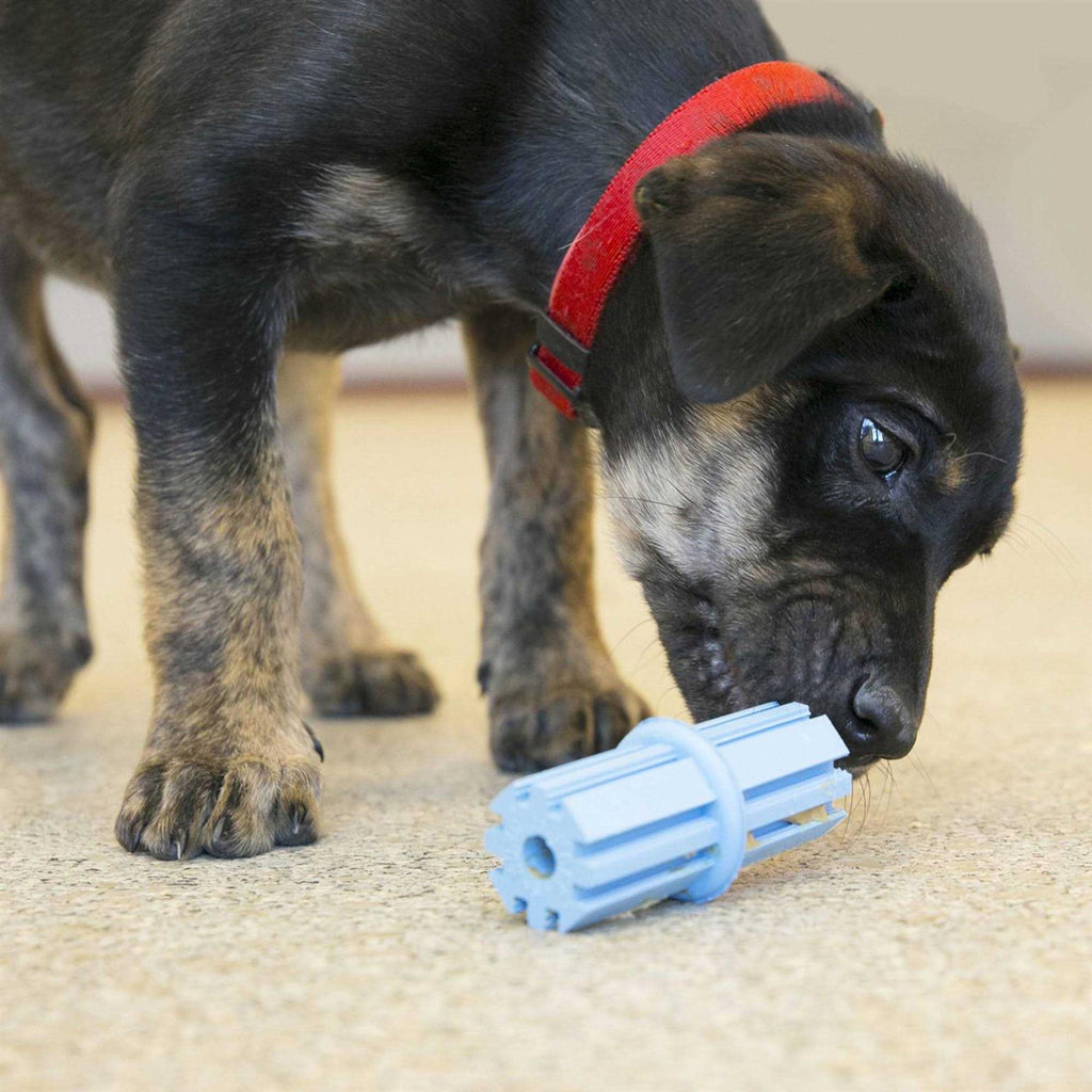 Puppy Teething Stick Dog Toy N7726