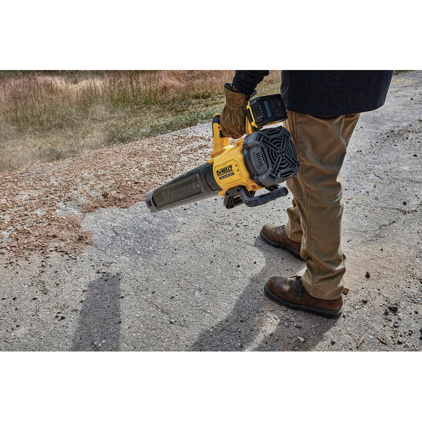 20V Max Brushless Handheld Blower Kit C715952