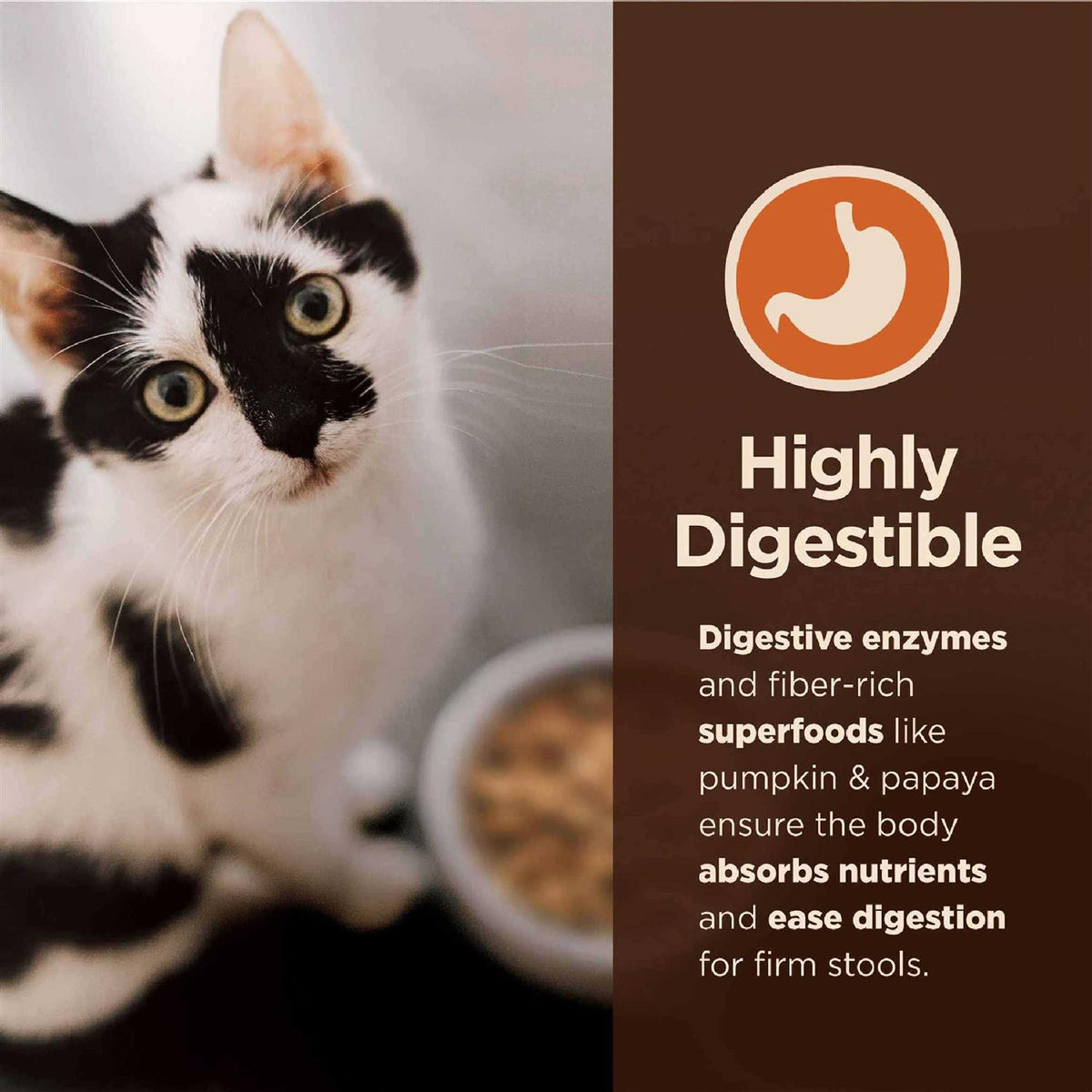 Salmon & Whitefish Pate Variety Pack Wet Cat Food S6345