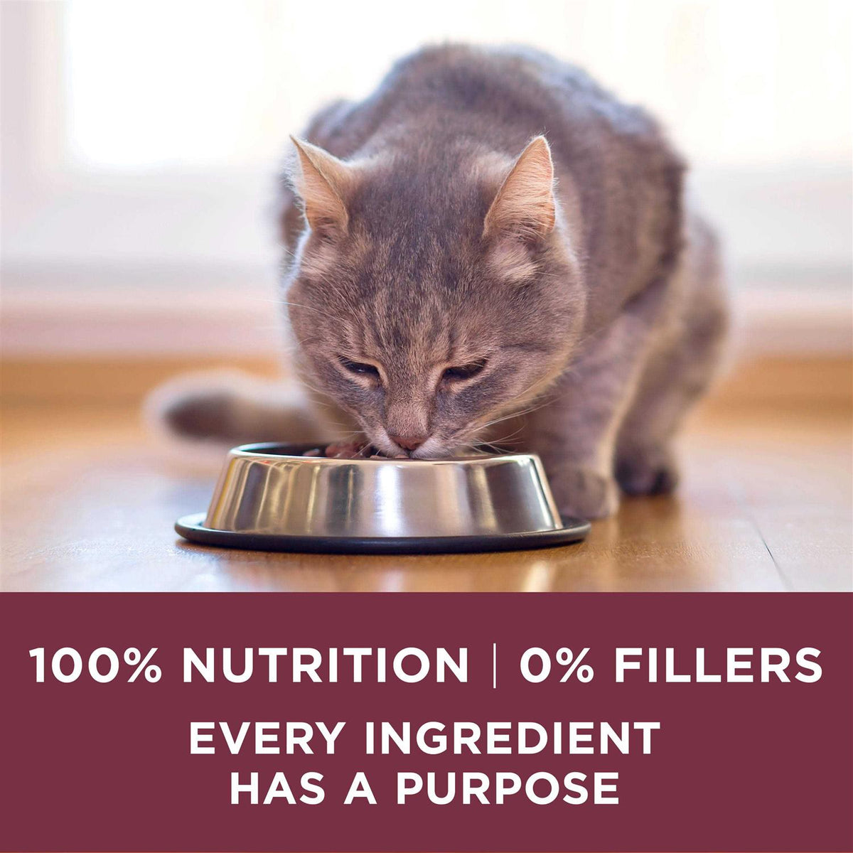 Urinary Tract Health Dry Cat Food A757