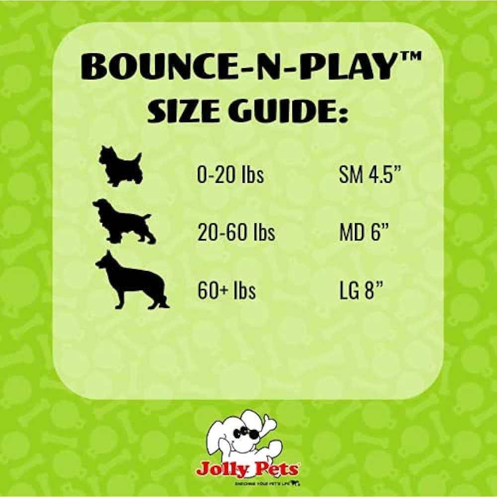 Bounce N Play C7906