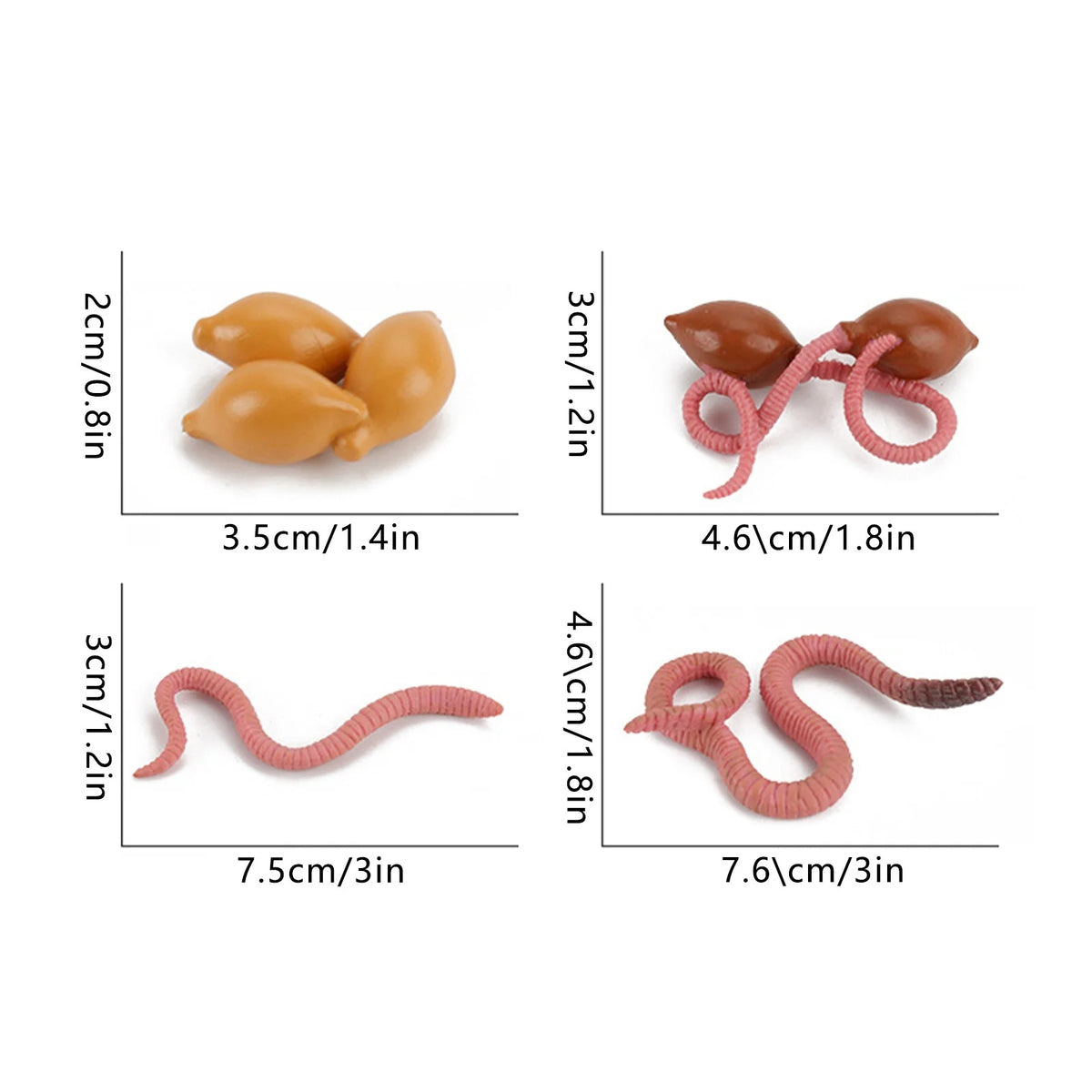 4 Piece Insect Animal Life Cycle Plastic Figures U35817