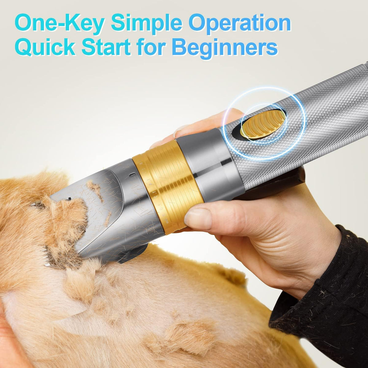 Dog Grooming Kit, 12V Pet Hair Trimmer Set, Pack of 2 Q19817