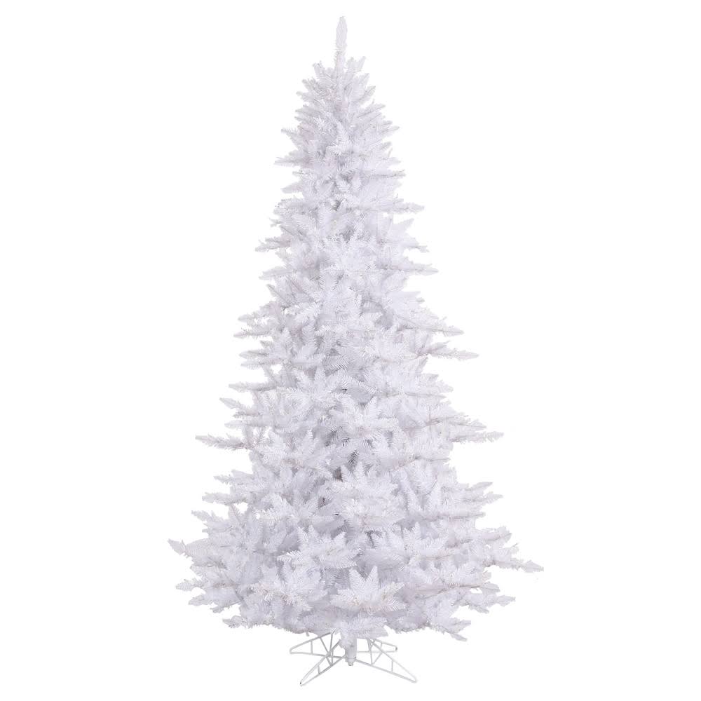 White Fir Tree X4543