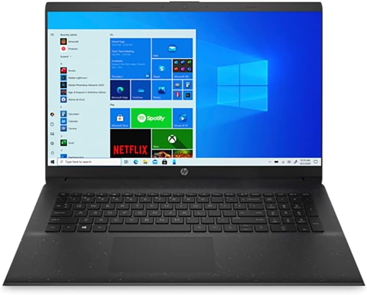 AMD Athlon Gold 3150U 16GB RAM 128GB PCIe SSD + 1TB HDD 17.3 HD+ Laptop N29010