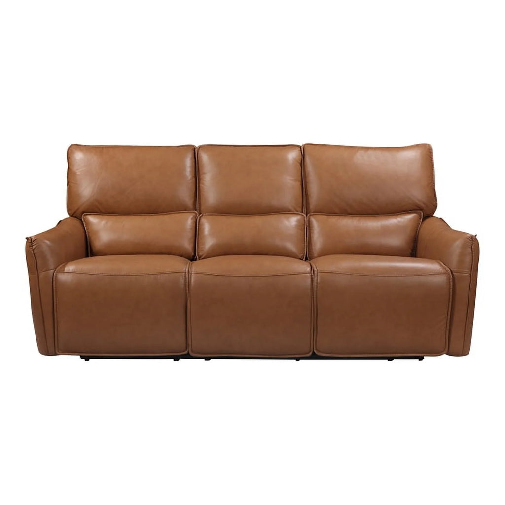 Desert Brown Leather & Hardwood Sofa V917494