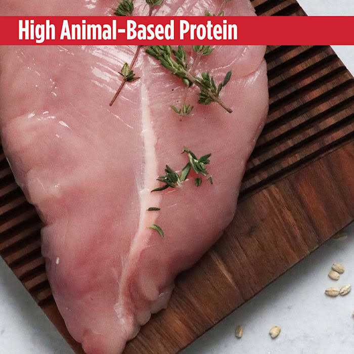 Turkey Small Breed Adult Dry Dog Food R973