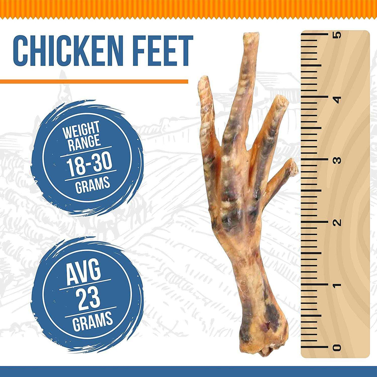 Chicken Feet Dog V409242