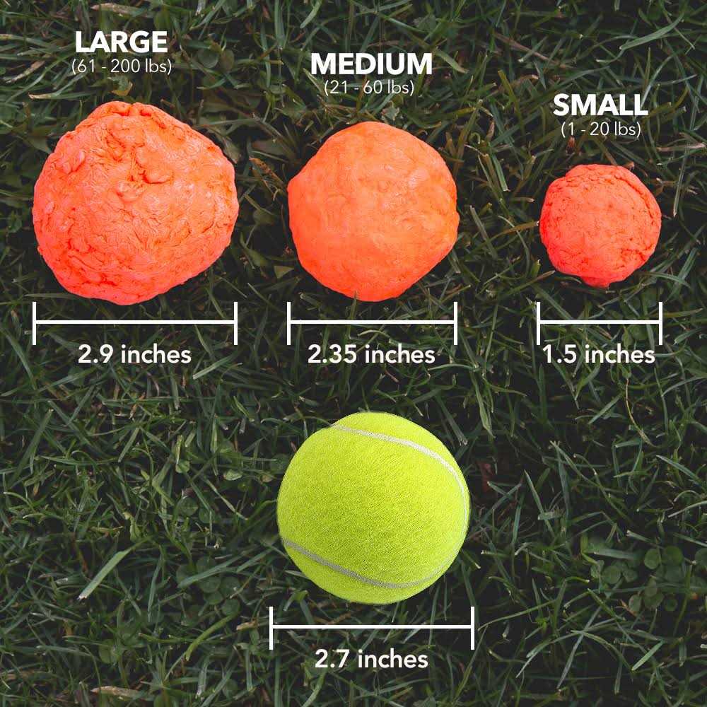 Fetch Dog Toy S558