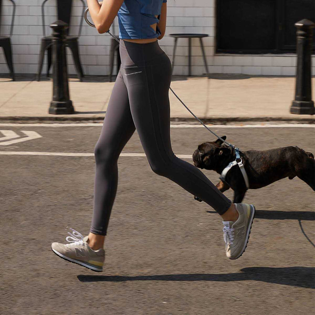 Pet Harness and Leash Set P608