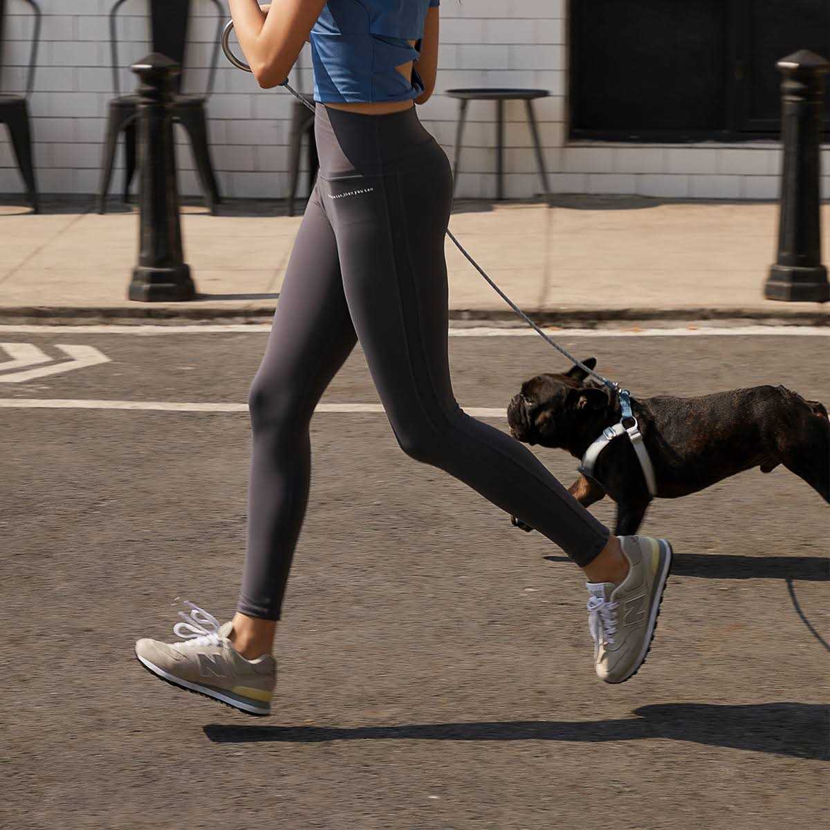 Pet Harness and Leash Set P608