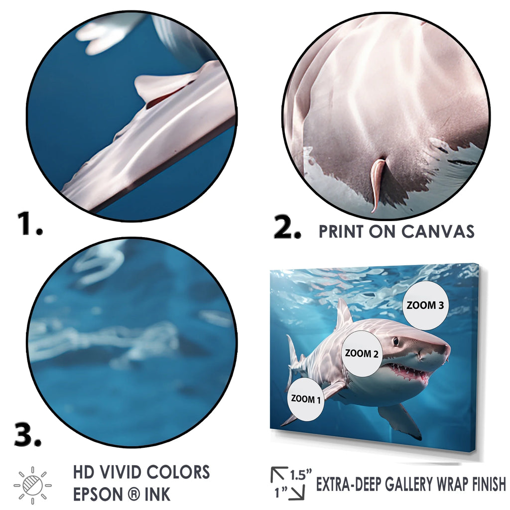Shark Canvas Art Print B499