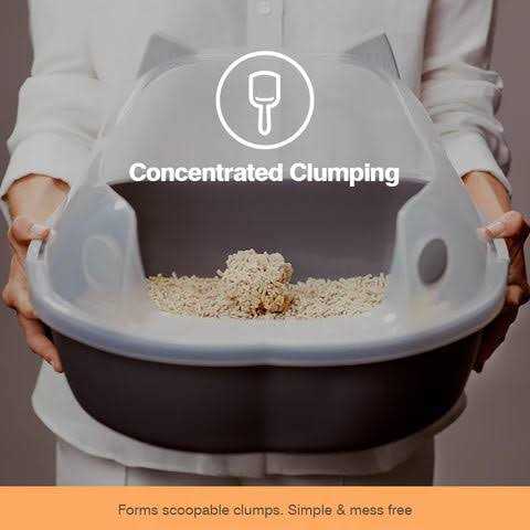 Clumping Corn Cat Litter E6981