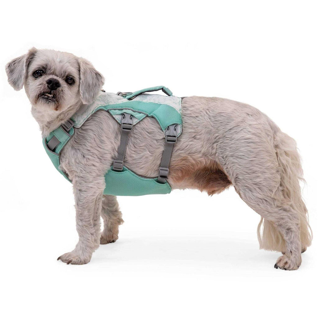 Dog Harness Z4476