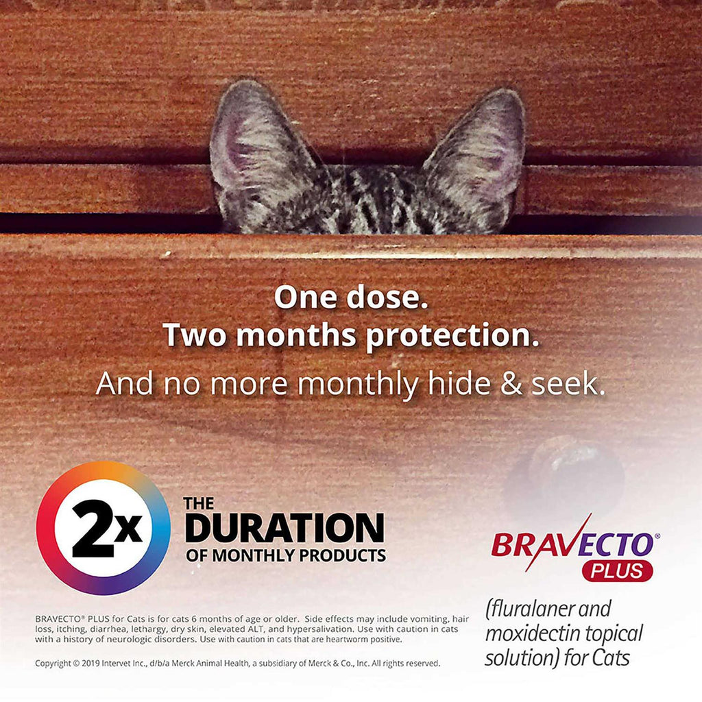 Topical Solution for Cats B502