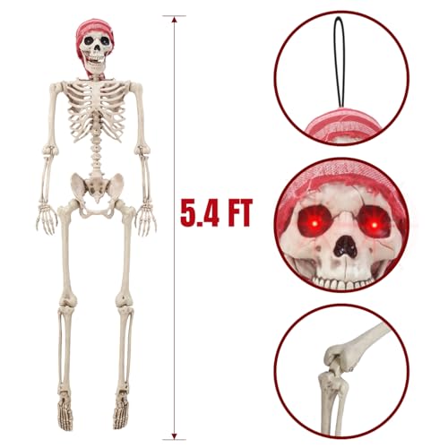 Life Size Skeleton with Glowing Eyes Posable Joints T896524