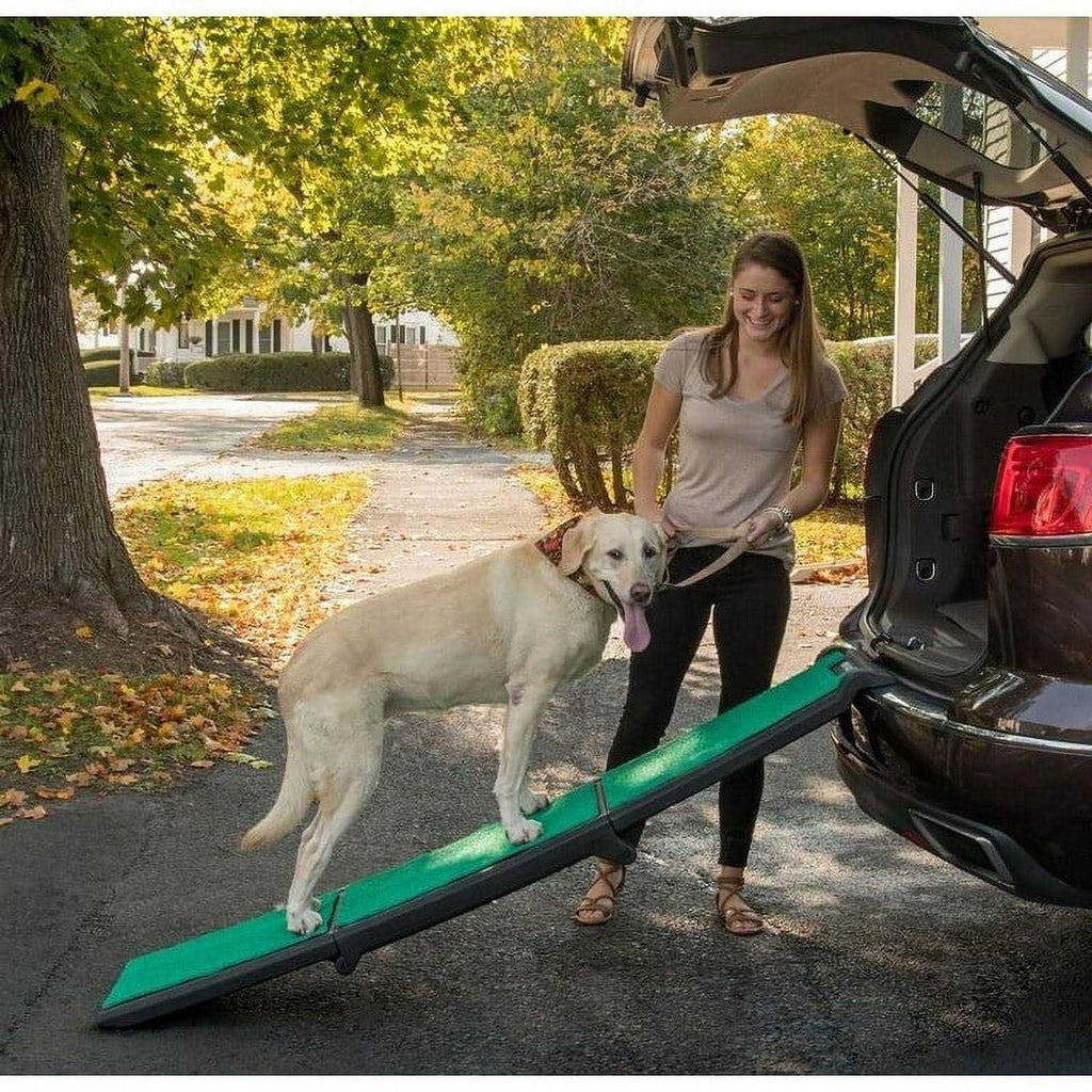 Bi-Fold Pet Ramp B6395