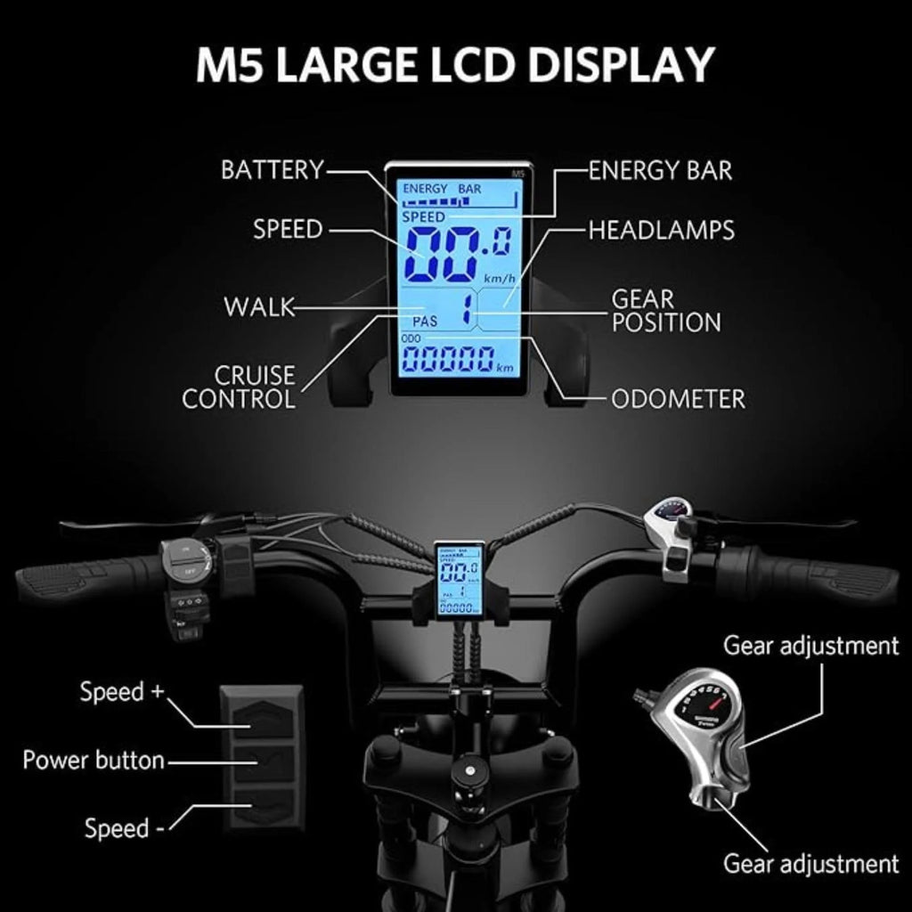 20" Fat Tire 750W Electric Bike with 48V 15AH Removable Battery F623