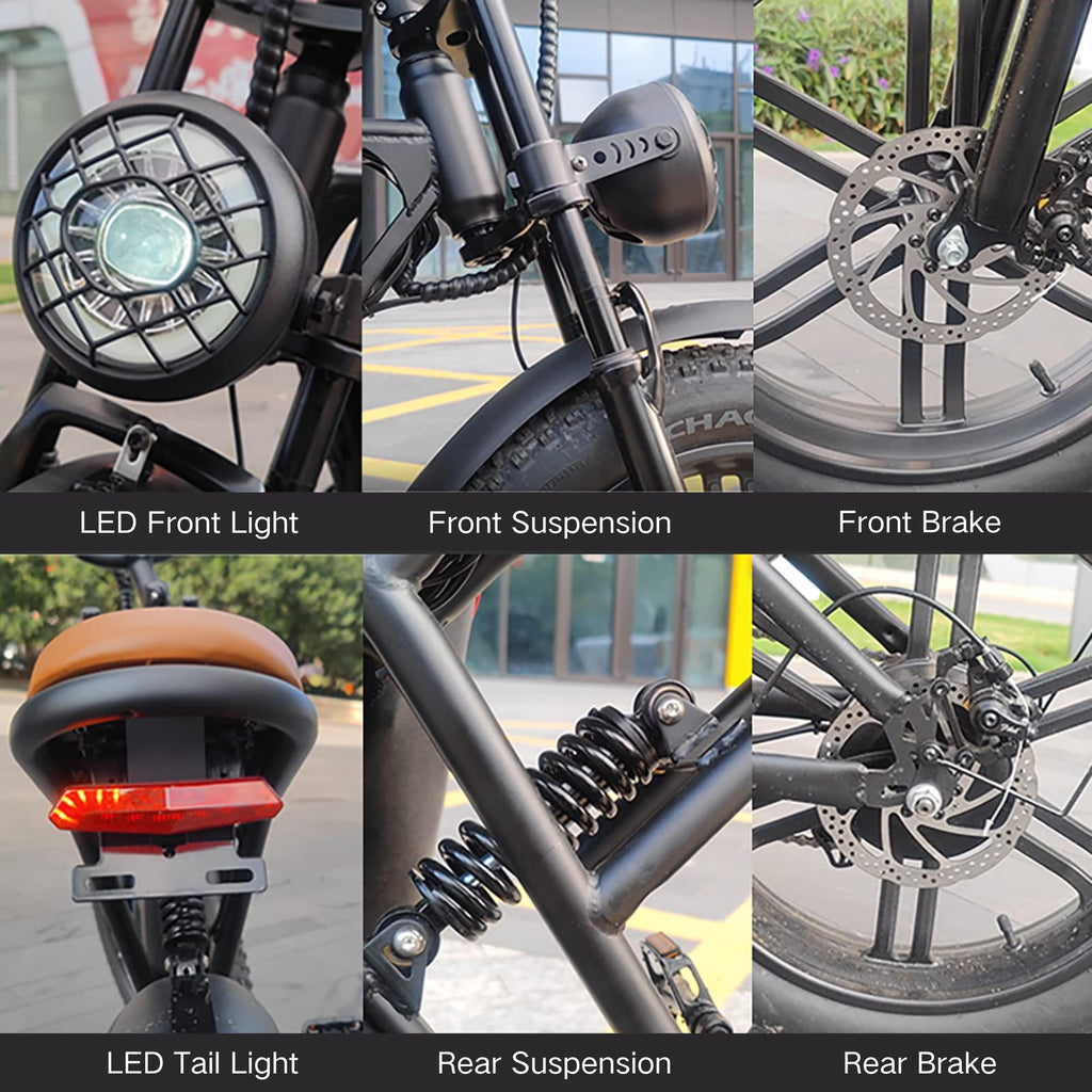 20" Fat Tire 750W Electric Bike with 48V 15AH Removable Battery F623
