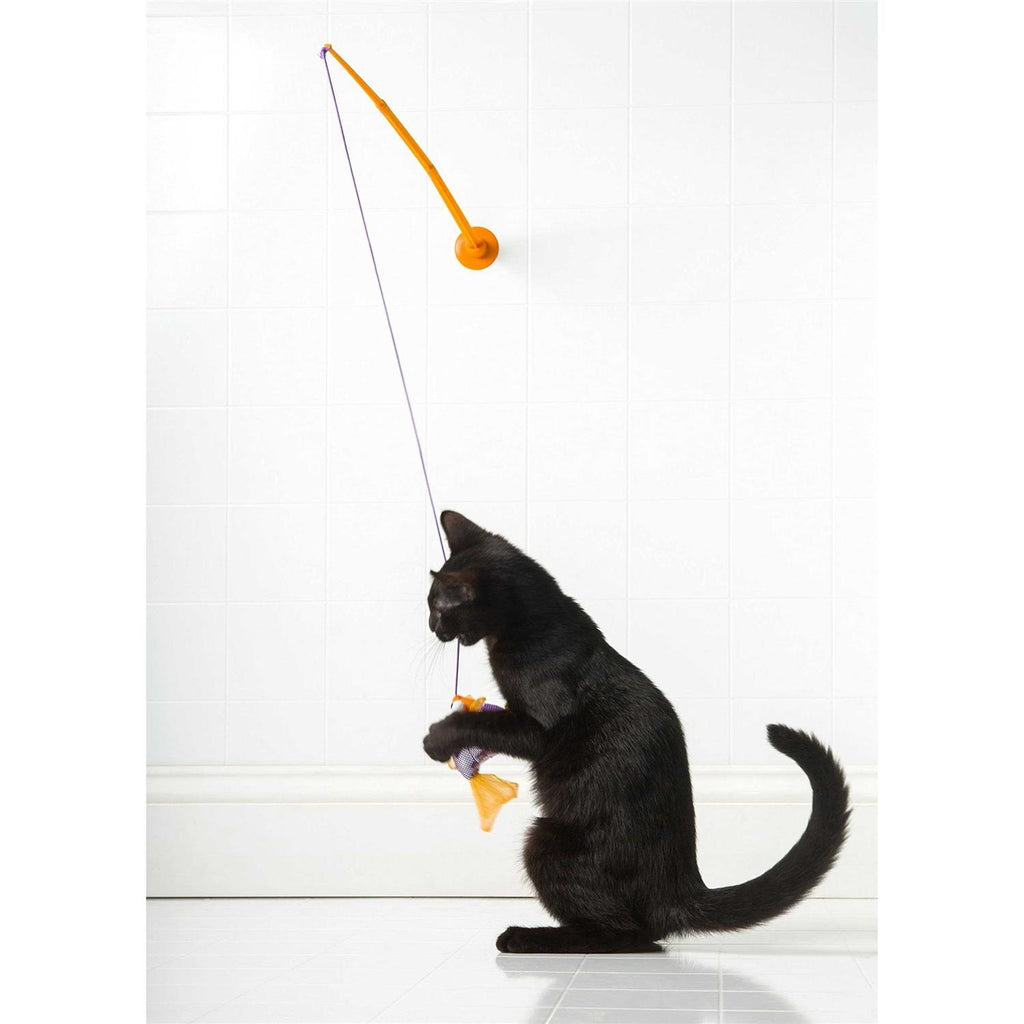 Cat Toy W986944