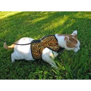 Cat Harness V7048