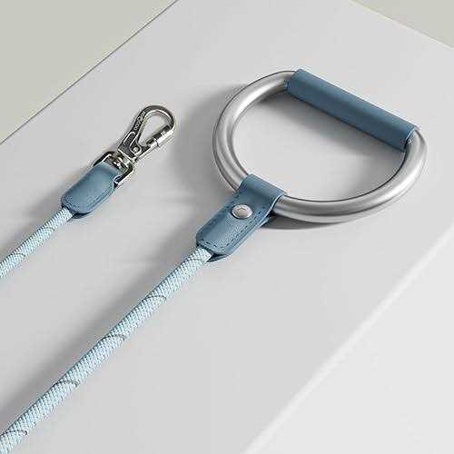 Pet Harness and Leash Set P608