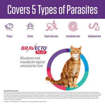 Topical Solution for Cats B502