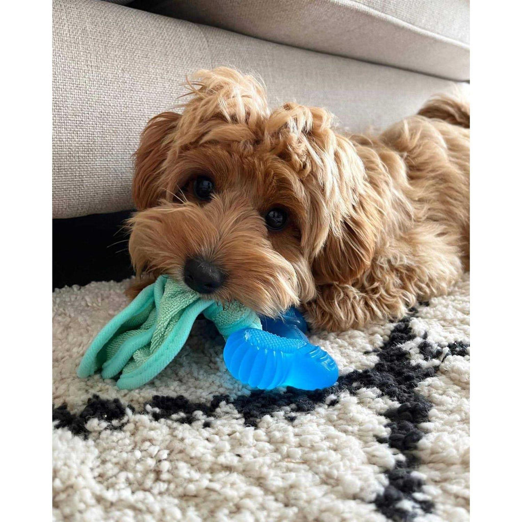 Peanut Butter Chew Puppy Toy U969420