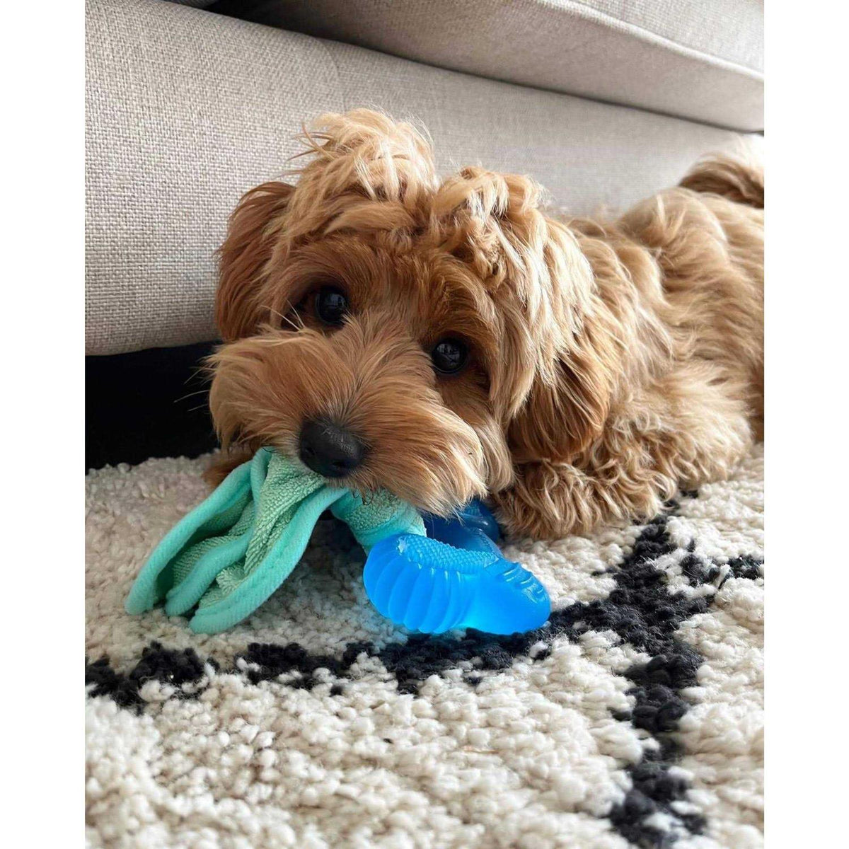 Peanut Butter Chew Puppy Toy U969420