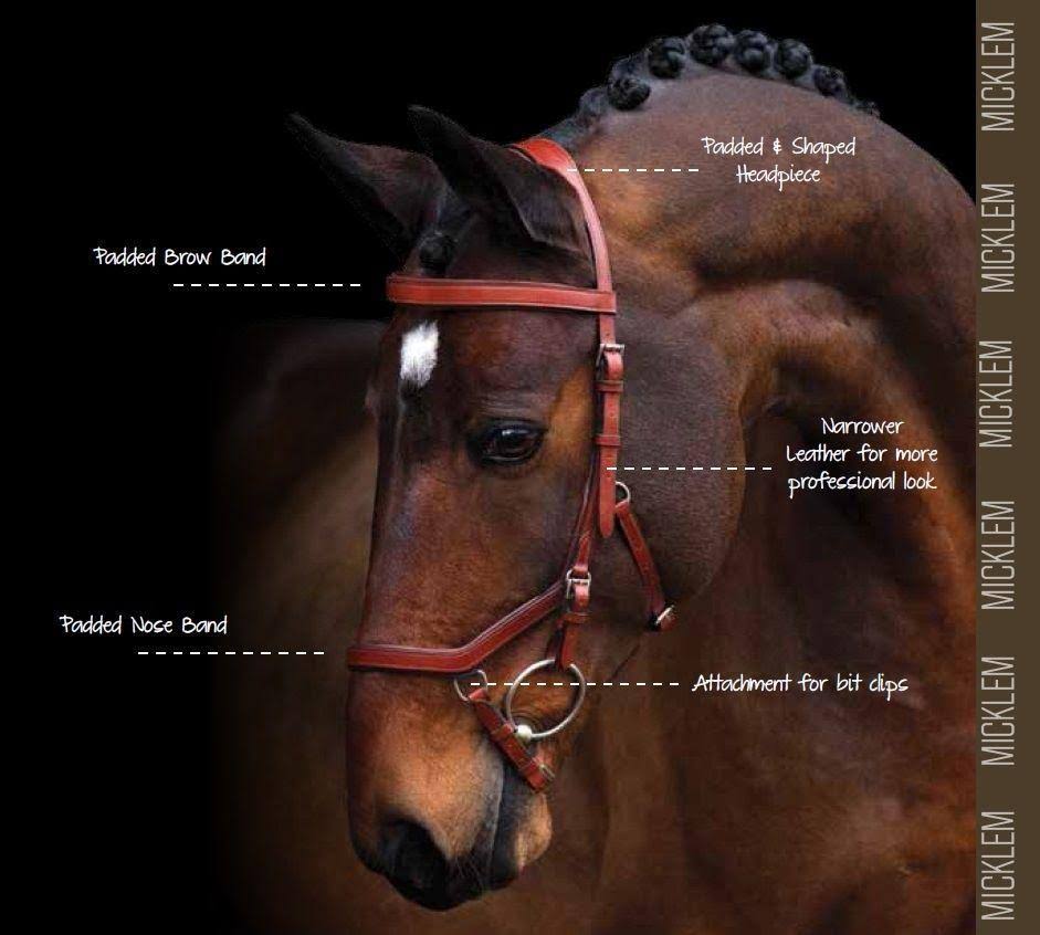 Brown Competition Bridle N590